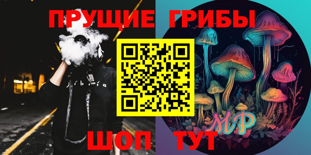 закладка  Вход с VPN  Богородск  Псилоцибиновые грибы мухоморы 