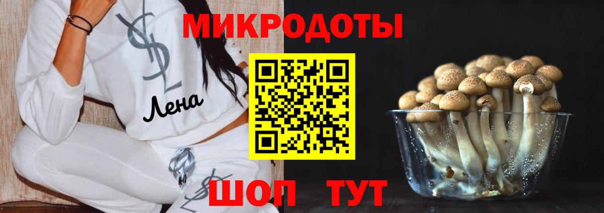 Галлюциногенные грибы Psilocybe Богородск